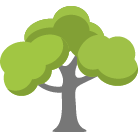 Salisbury Tree Removal