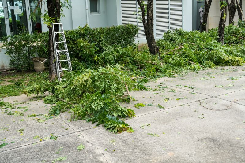 Leaf Removal Service