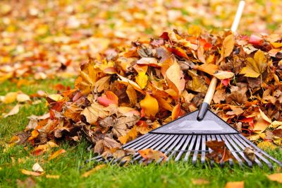 Healthy Lawn Maintenance