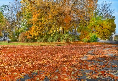 Landscape Preservation