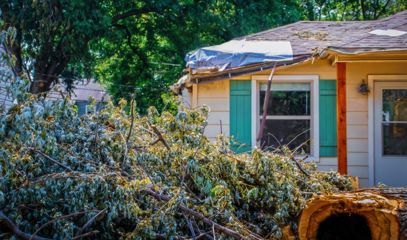 Fallen Tree Removal detail
