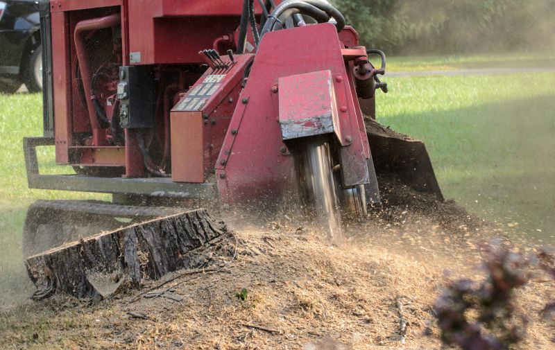 Tree Cutting and Stump Grinding