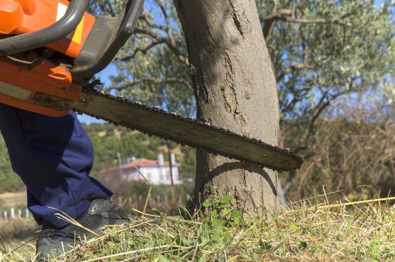 Equipment for Tree Removal