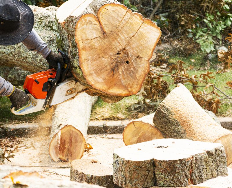 Who Does Tree Removals