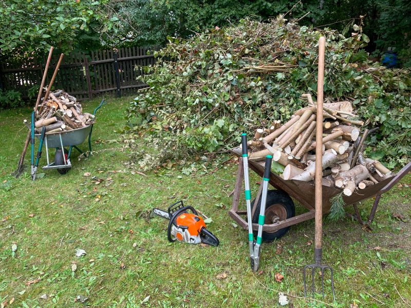 Willow Tree Removal